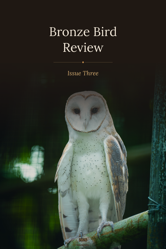 BBR_Issue3_Cover Bronze Bird Review: Issue Three — cover